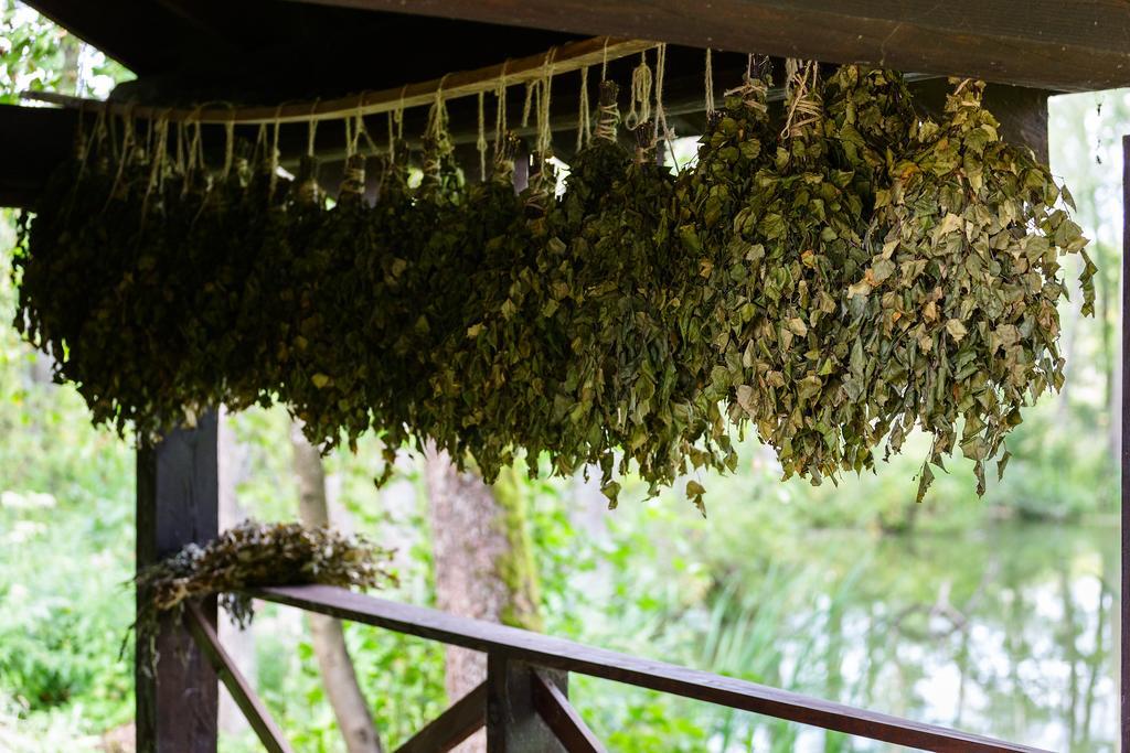 Poilsio Baze Guest House Latezeris Ngoại thất bức ảnh